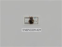 藏品(雙條甘蔗金龜)的圖片